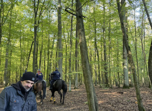 Warsztaty ekologiczne w lesie Łagiewnickim