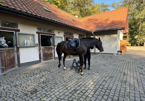 Odwiedziny w Straży Miejskiej