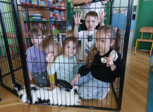 Zdjęcie przedstawia dzieci z królikiem