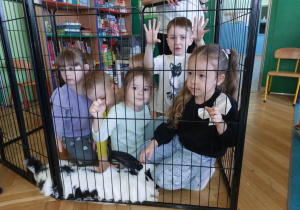 Zdjęcie przedstawia dzieci z królikiem