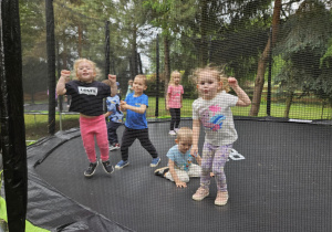 Maluszki na trampolinie