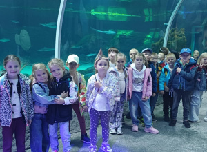 Żabki w zoo