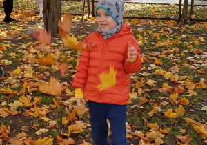 Mateusz zbiera liście