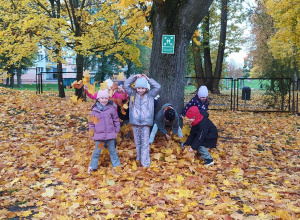 Zdjęcie przedstawia dzieci podczas zabaw z liśćmi