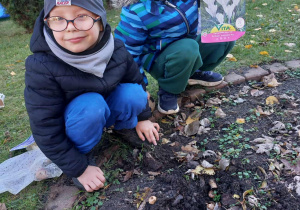 Zdjęcie przedstawia chłopców podczas sadzenia tulipanów