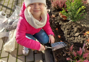 Zdjęcie przedstawia dziewczynkę, która przygotowuje dołek na cebulkę