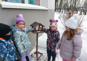 Płatki owsiane dla ptaków w karmniku