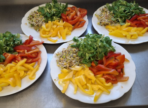 zdjecie przedstawia talerz warzyw