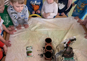 przygotowanie do hodowli